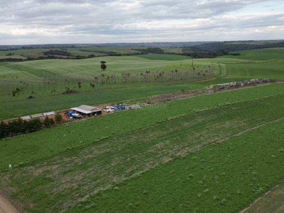 Terreno 10.000m² – Socorro